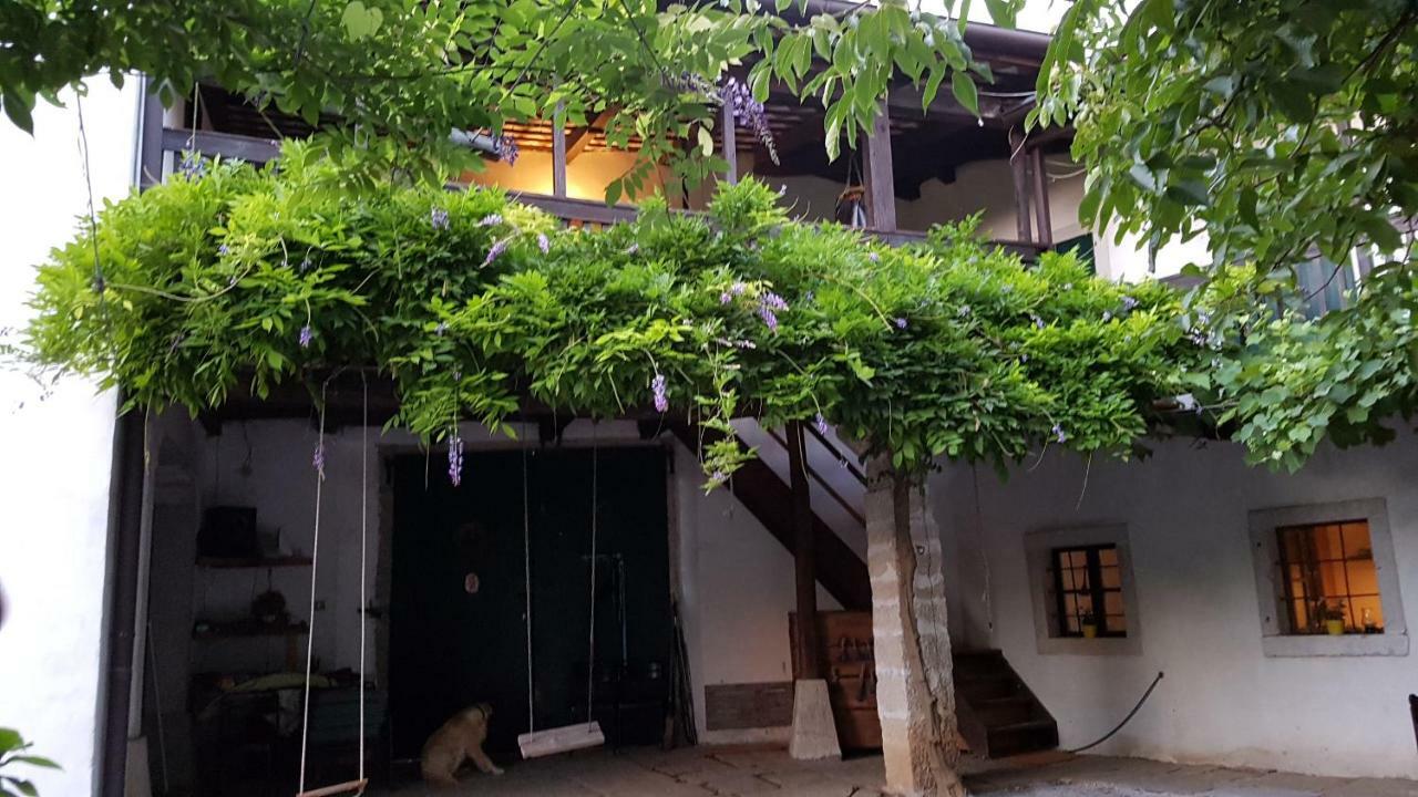 Apartmaji Hedera 코멘 지방 자치제 외부 사진